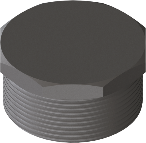 [08.2299.10] Plug-threaded_SS_2m